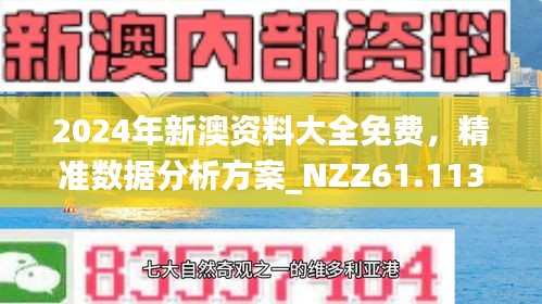 新澳24年210期正确资料,新澳24年210期正确资料详解