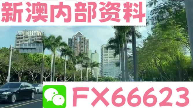 新澳精准资料期期精准24期,新澳精准资料期期精准，深度解析与前瞻性探讨（第24期）