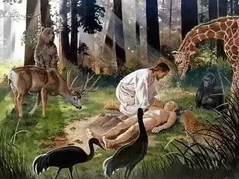 四不像玄机解特图,揭秘四不像玄机解特图，探寻神秘背后的真相