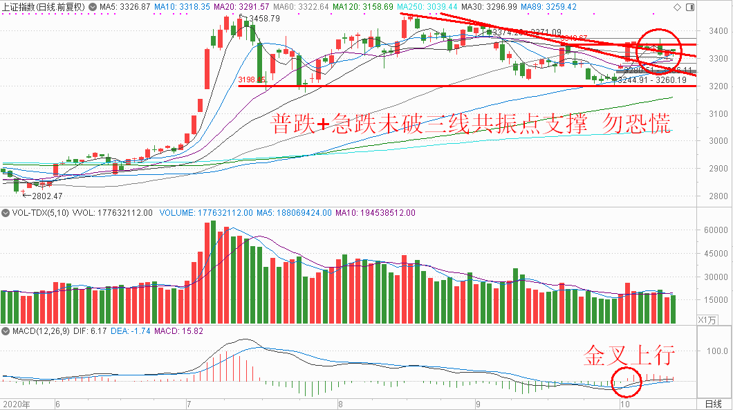 2025澳门特马今晚开奖53期,澳门特马今晚开奖53期，期待与惊喜的交融