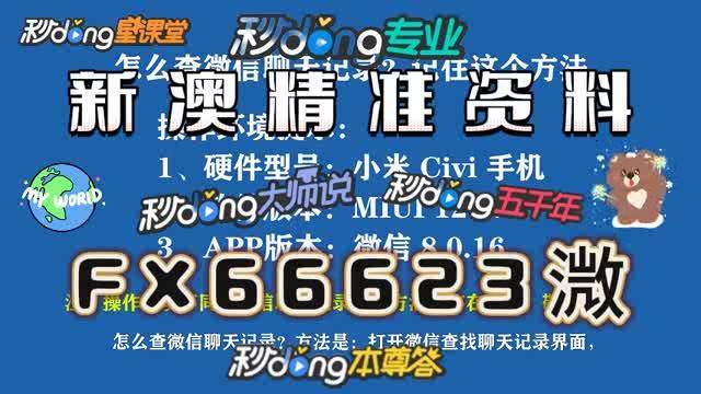 新澳门内部资料精准大全,新澳门内部资料精准大全，探索与解读