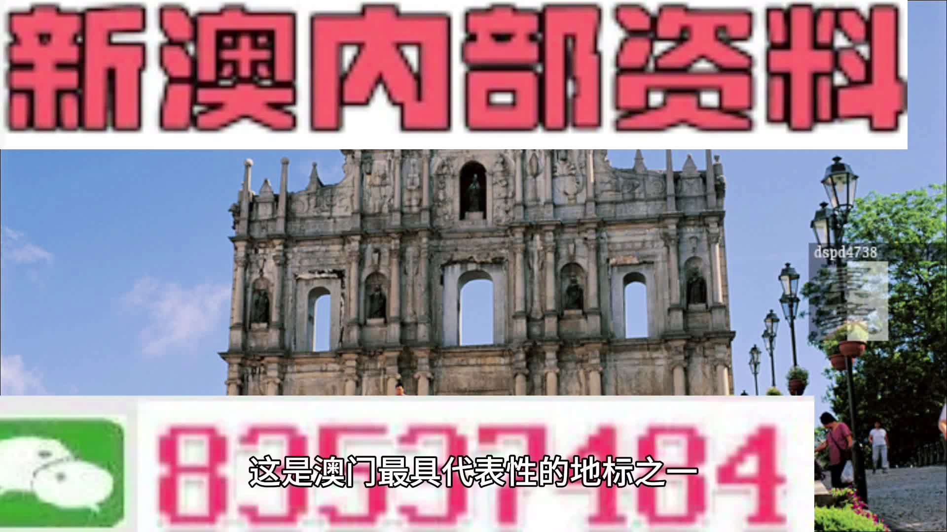 新2025澳门兔费资料,新2025澳门兔费资料解析