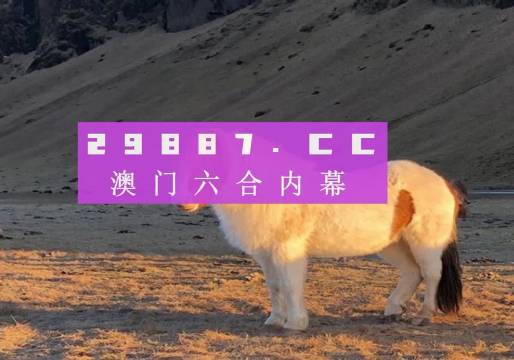 2025年澳门今晚开码料,澳门今晚开码料，探索未来与探索自我