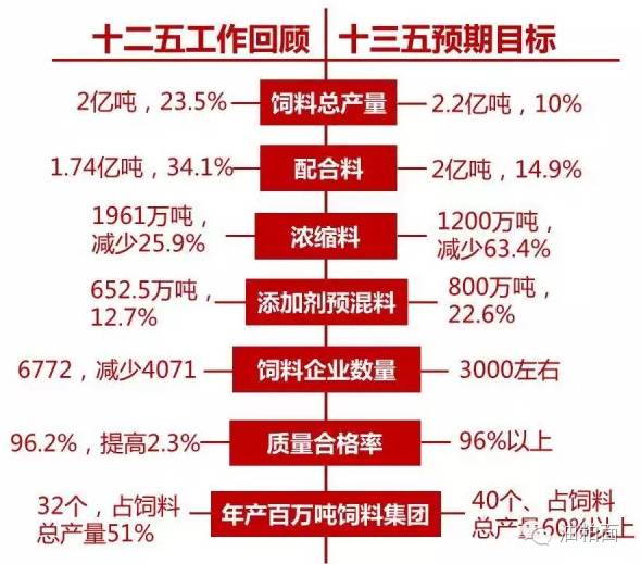2025年新澳天天开彩最新资料,探索未来新澳天天开彩的新资料，走向2025年的彩票新世界