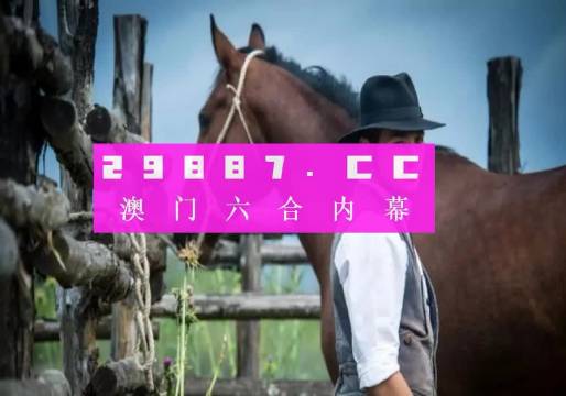 澳门全年免费资料,澳门全年免费资料，探索与体验