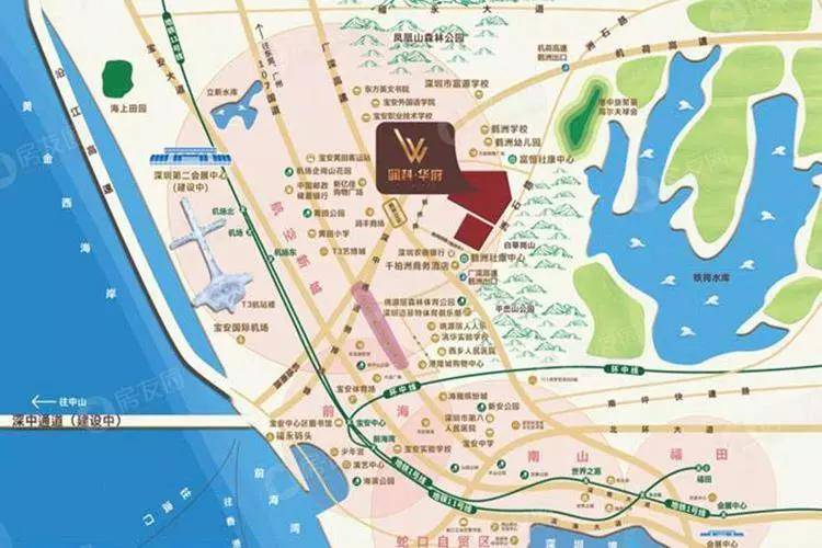 白小姐大前正版四不像一肖图,白小姐大前正版四不像一肖图，揭秘神秘彩票现象