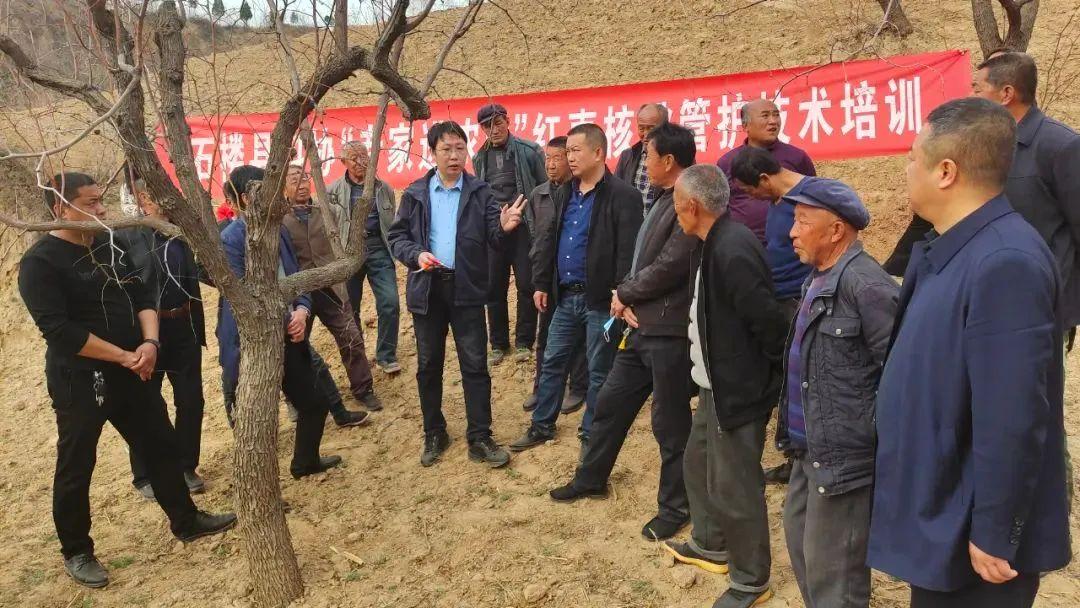 2025正版资料全年免费公开,迈向2025，正版资料全年免费公开的新时代