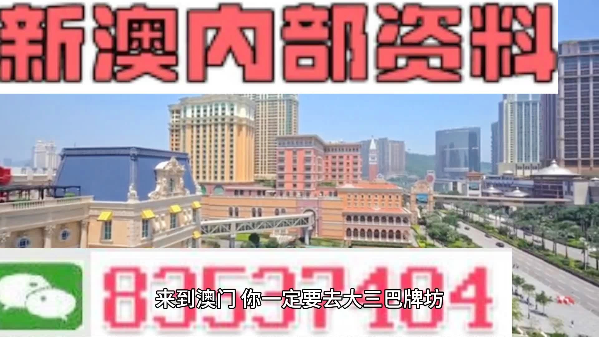新噢门全年免费资新奥精准资料,新澳门全年免费资料新奥精准资料探索与分享